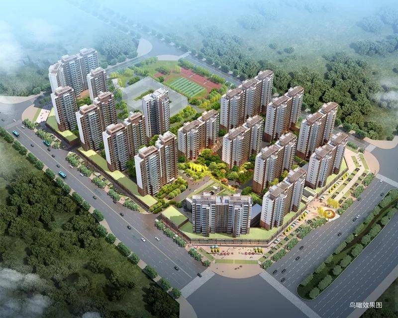 河源葉振云最新動態(tài)揭秘