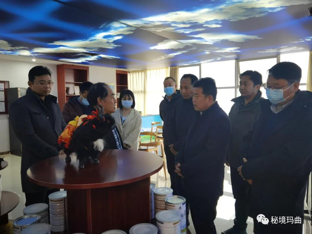 高原之寶上市，學(xué)習(xí)、蛻變與自信的輝煌之旅