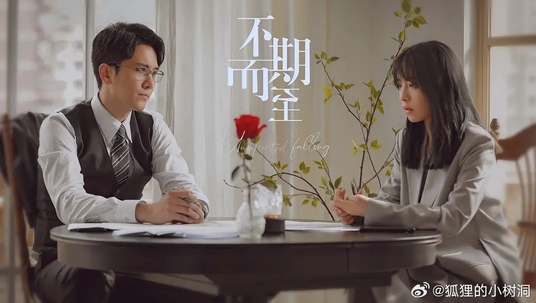 不期而至電視劇，從入門(mén)到進(jìn)階的觀看指南
