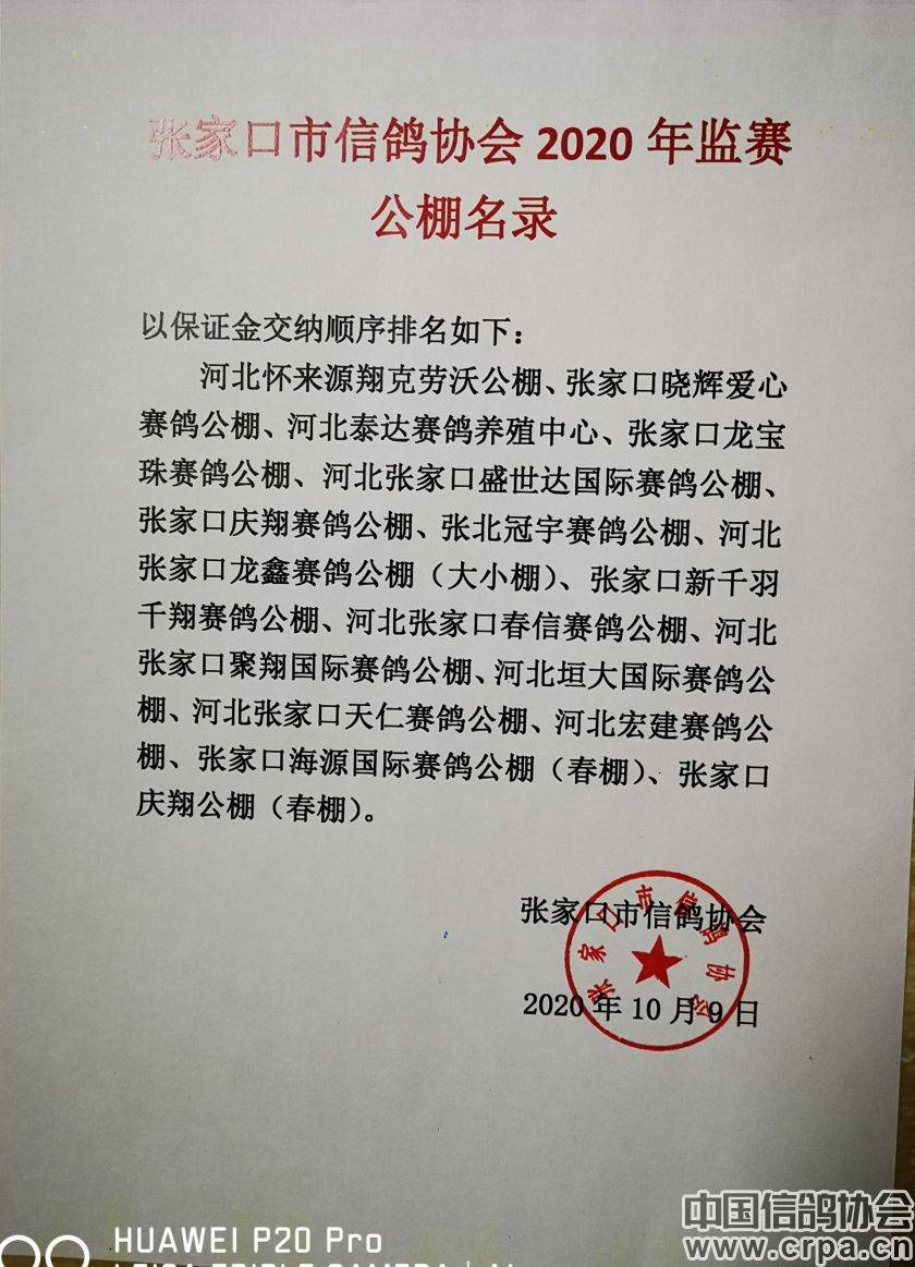 東光信鴿協(xié)會(huì)最新通告，小巷深處的獨(dú)特風(fēng)味揭秘與信鴿活動(dòng)更新通知
