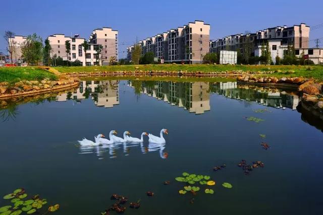 萍鄉(xiāng)安源湖，最新動(dòng)態(tài)揭示湖畔變革與自我超越之旅