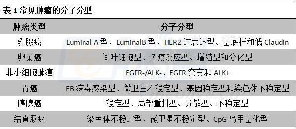 最新乳腺分類科技產(chǎn)品介紹，引領乳腺健康新篇章