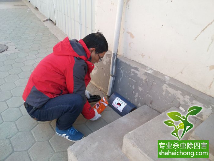 最新滅鼠技術的觀點論述與立場闡述，創(chuàng)新方法的探索與挑戰(zhàn)