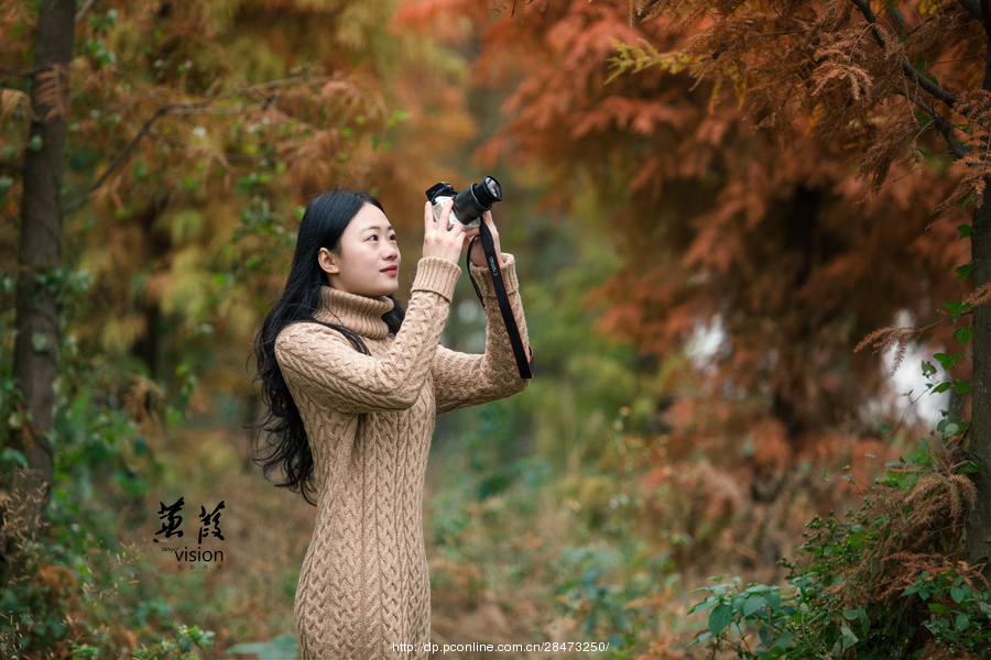 伊人在線(xiàn)電影，探索現(xiàn)代網(wǎng)絡(luò)影視的新境界