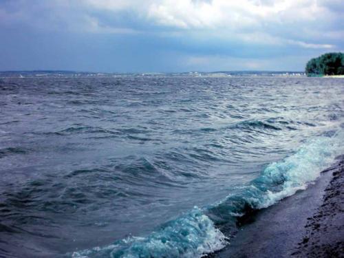 佳木斯新版，時(shí)代印記與變遷的見證者