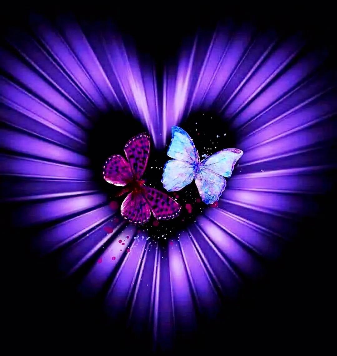 最新情感交流圈，學(xué)習、成長與自信的力量之源