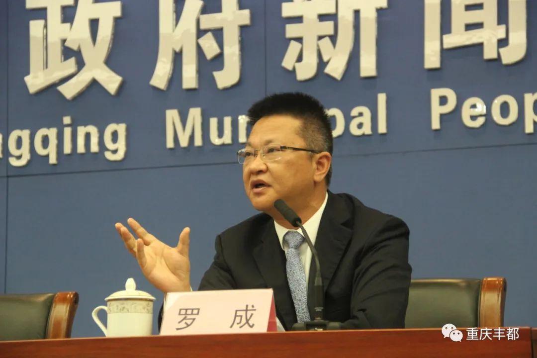 豐都新聞快訊，日常溫情與陪伴的瞬間