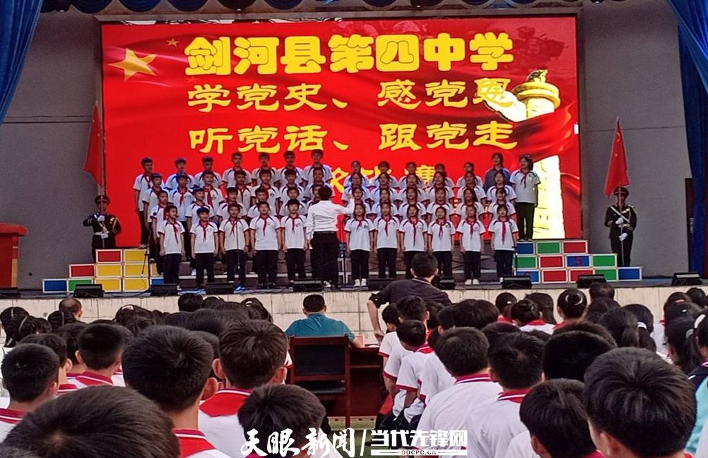 青蛙與狗的泳池挑戰(zhàn)，揭秘游泳比賽背后的故事，青蛙夢工廠的秘密探索