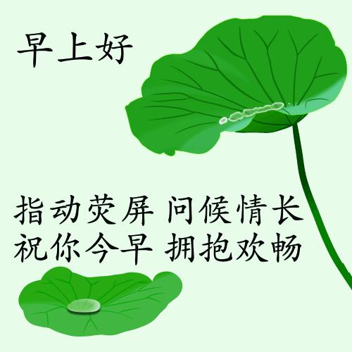 最新疫情動態(tài)下的自然探索之旅，追尋內(nèi)心的平和與寧靜