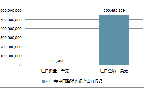 關于水貂行情的深度解析與預測，展望2025年水貂市場趨勢