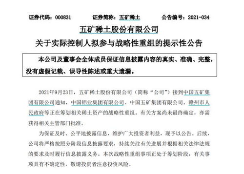 南方稀土股票，小巷中的隱秘寶藏，探索投資魅力的未知之旅