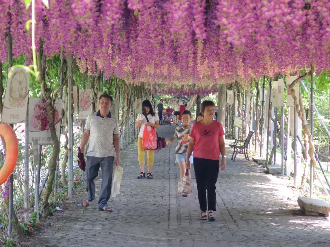 收入寶全新版本，家庭與友情的交織故事