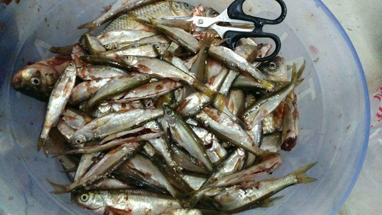 昆明最新野釣地點(diǎn)探索，重拾生活激情與自信的自然之旅