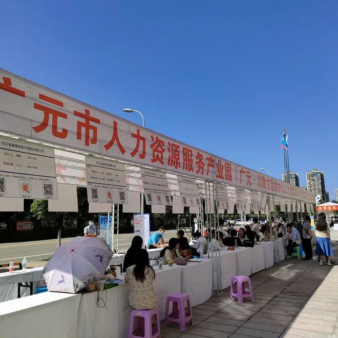 廣元最新招聘資訊詳解，觀點闡述與解析
