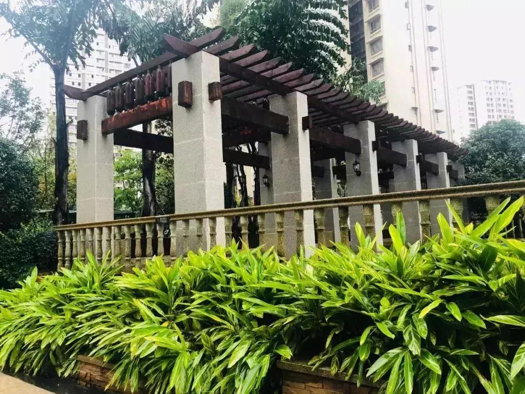 陽光江山金岸最新動態(tài)揭秘，全面指南與步驟詳解