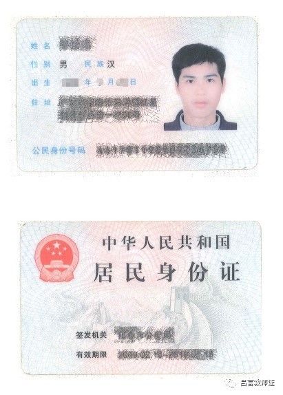 最新證照，友情與陪伴的溫馨故事之旅