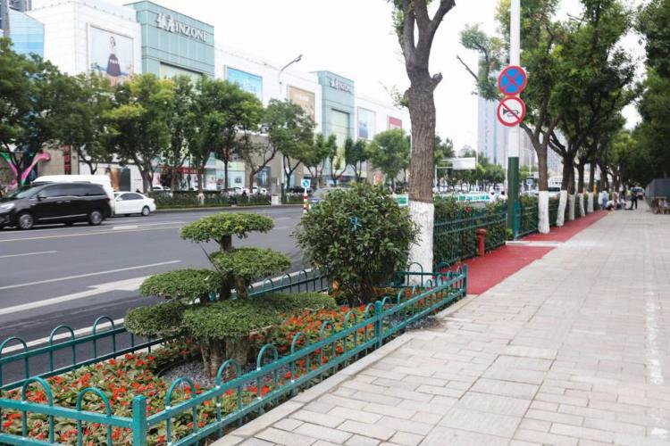 濰坊市奎文區(qū)改造工程，自然美景的探索之旅