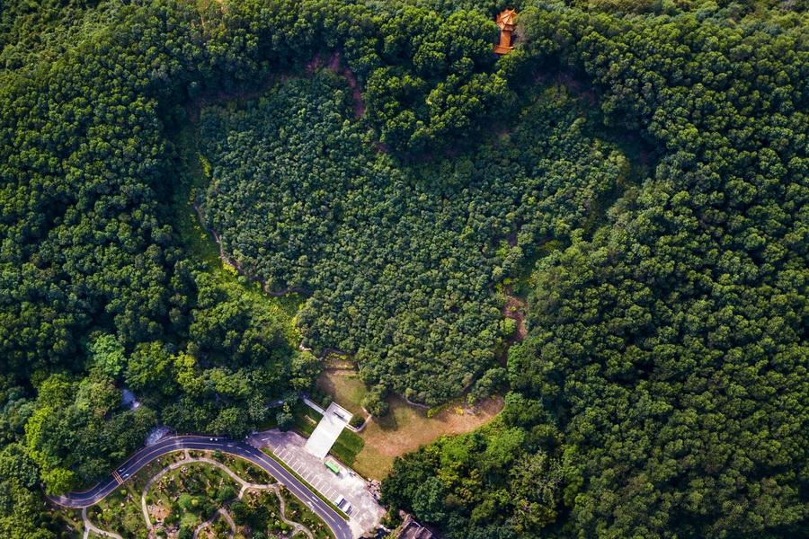 香港演員林，溫馨日常的點(diǎn)滴記錄