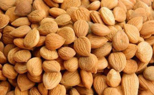 苦杏仁行情深度解析，背景、事件與地位探究