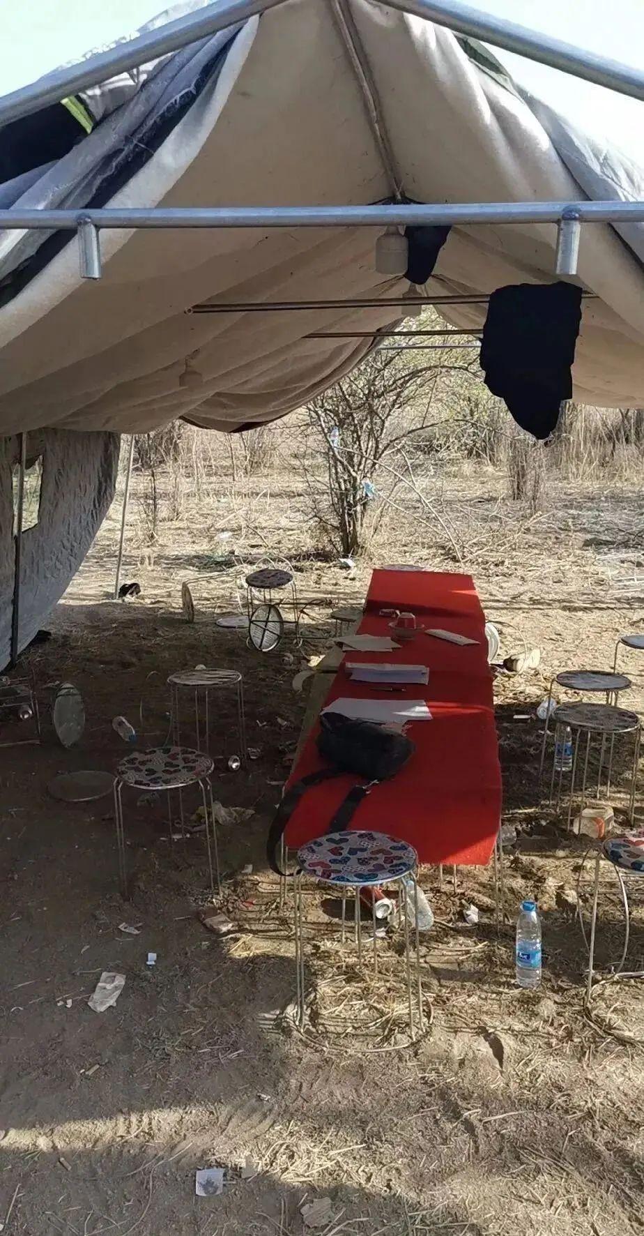 永寧望遠最新職位招聘，時代脈搏下的職場新篇章