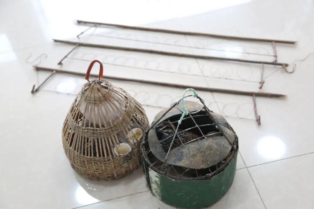 小巷中的神秘寶藏揭秘，最新捕鳥工具揭秘