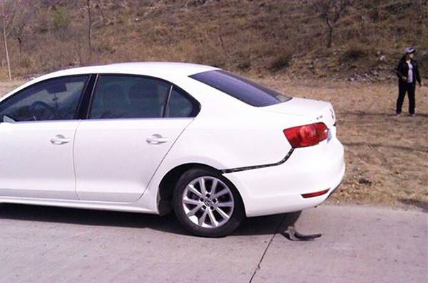 速騰斷軸最新進(jìn)展與小巷深處的匠心獨運