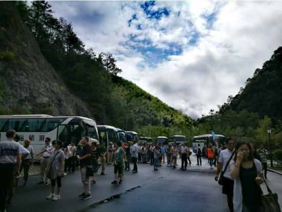 泰順高鐵最新動態(tài)更新，最新消息一覽