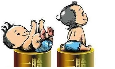 最新雙胞胎補(bǔ)助政策，攜手同行，助力孕育夢想之路