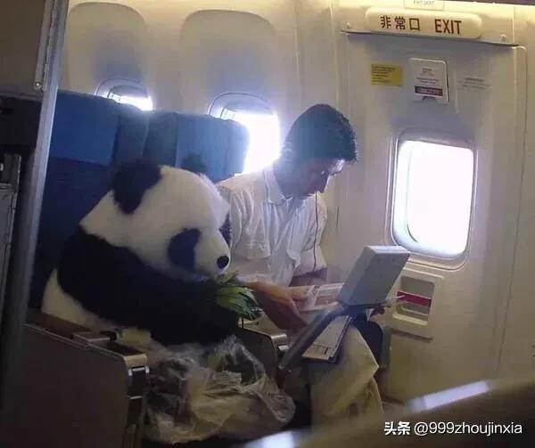 追逐變化之翼，學(xué)習(xí)鑄就自信與成就——虛幻最新探討