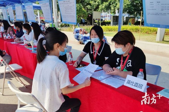 石碣最新招聘動(dòng)態(tài)，把握職業(yè)機(jī)遇，共創(chuàng)美好未來之路