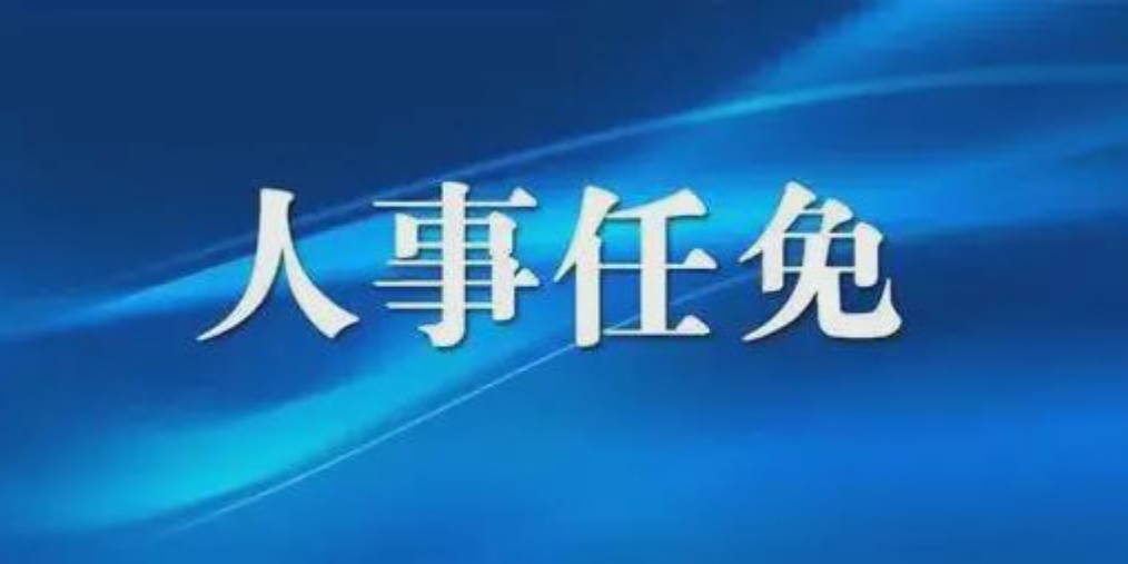成都人事任免背后的故事，小巷獨特風(fēng)味小店與城市的脈動