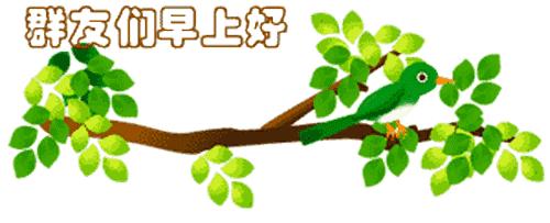 最新清晨祝福短信，晨曦中的溫暖問候，傳遞美好祝愿與關(guān)懷