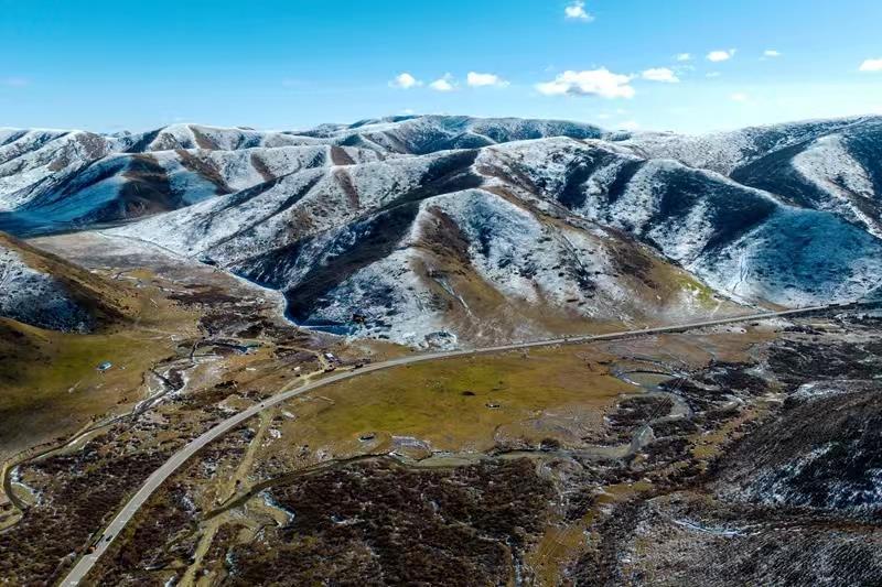 蘭西最新新聞，學(xué)習(xí)之光，自信與成就感的源泉