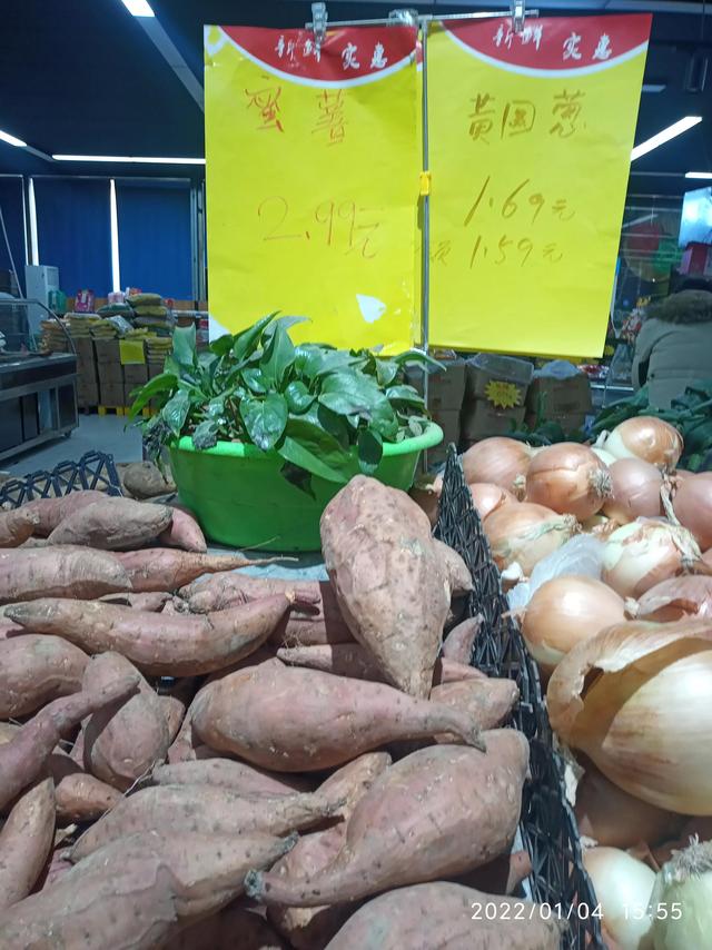 最新地瓜價(jià)格解析，查詢指南與任務(wù)攻略