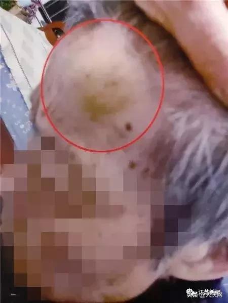 揪脖子最新視頻，探秘小巷風(fēng)情小店，獨(dú)家揭秘！