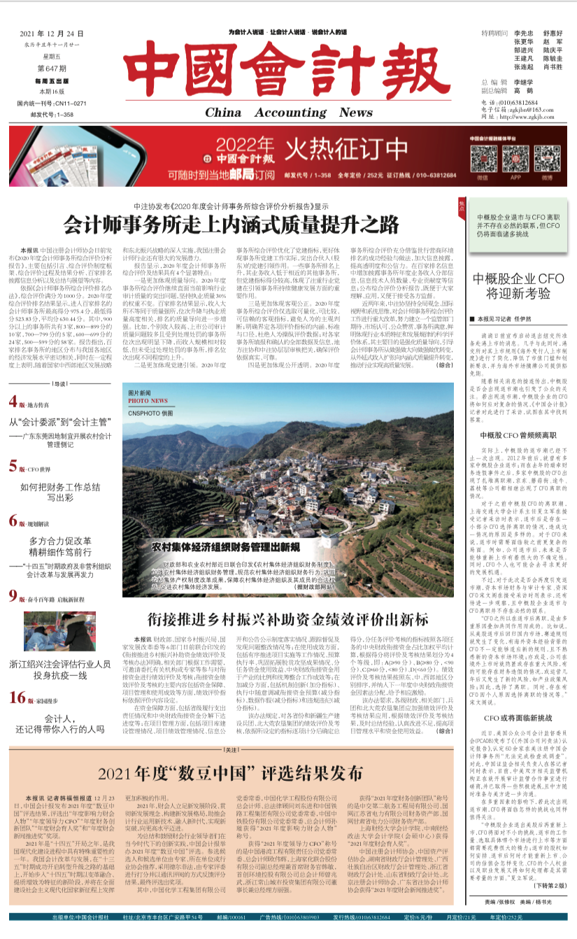 小巷深處的會計魅力，最新資訊與特色小店的探索