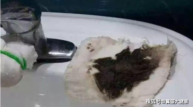 揭秘水污染真相，小杰的河流探索之旅——溫馨河流的秘密揭秘視頻