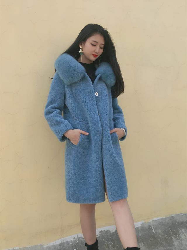 三七花最新價(jià)格揭秘，溫馨小故事中的尋找之旅