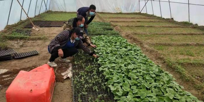 策勒最新招聘啟航人才新篇章，學(xué)習(xí)變化，擁抱自信與成就，啟程人生新征程！