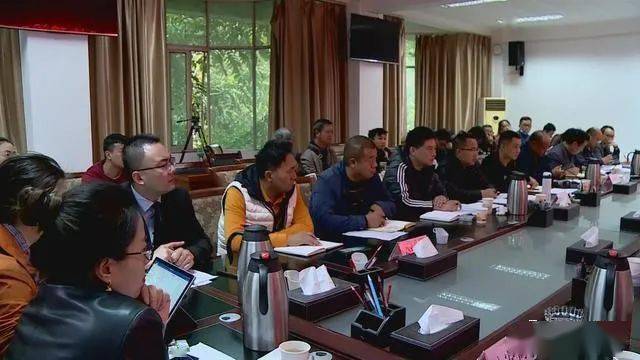 德昌最新新聞，擁抱自然，心靈寧靜之旅啟程