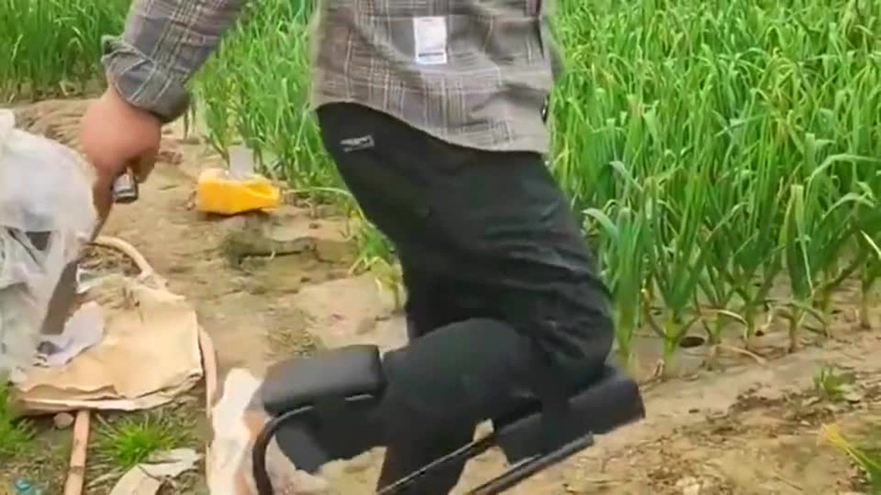最新挖蒜工具，心靈與自然的完美交融