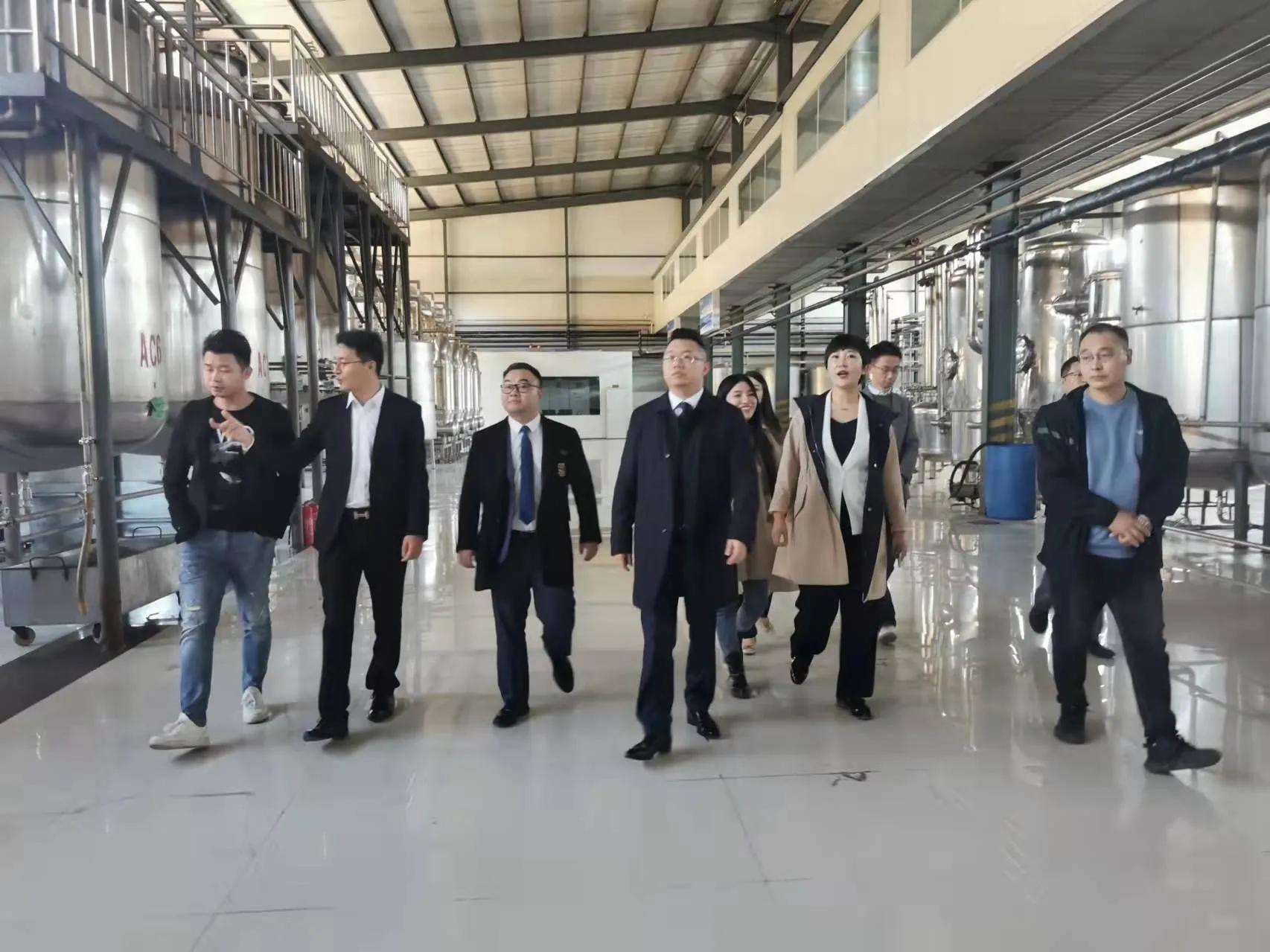 鼎恒升最新動態(tài)，追溯特定領域的發(fā)展歷程與重要地位