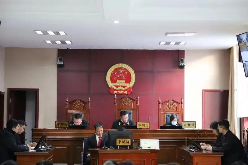 偏關(guān)最新案件深度解析，揭示真相，關(guān)注社會公正與公平