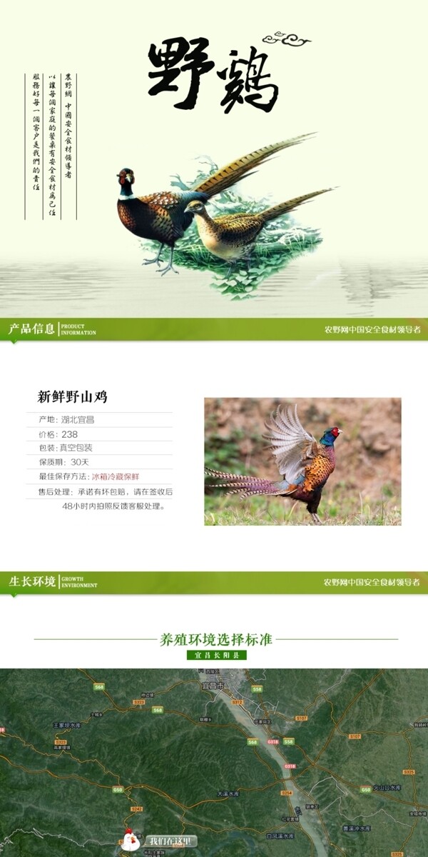 深度剖析，最新山雞的背景、事件與地位概述