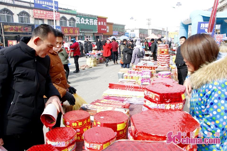 淘元素最新，淘淘的奇妙冒險(xiǎn)之旅與友情的溫暖體驗(yàn)