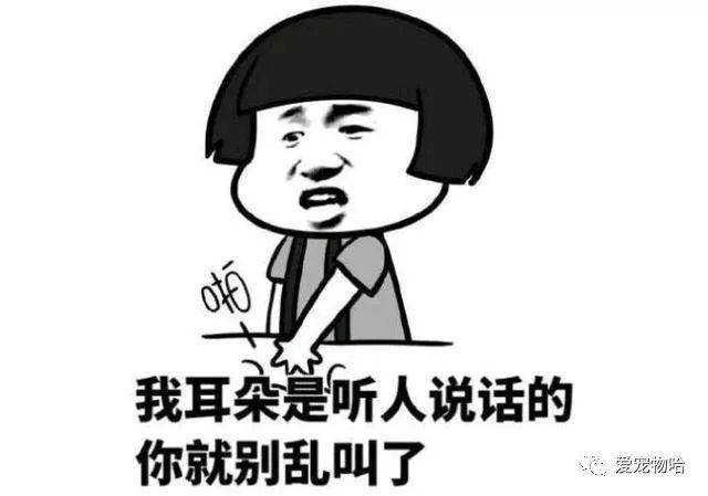 最新枕邊笑話，科技小寶貝，生活添樂(lè)趣