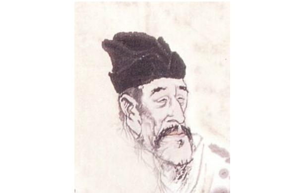 最新孤雁圖片，展現(xiàn)自然之美與深意的瞬間