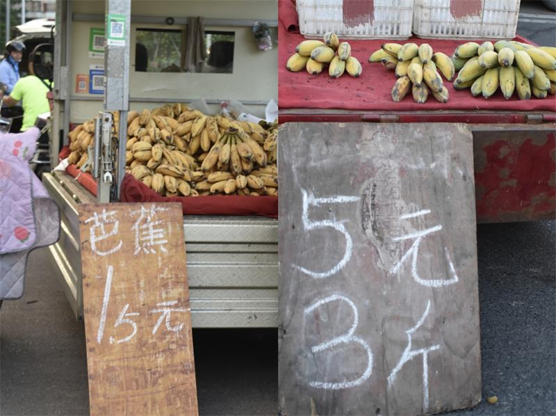 芭蕉最新價格，開啟心靈平靜的綠色之旅