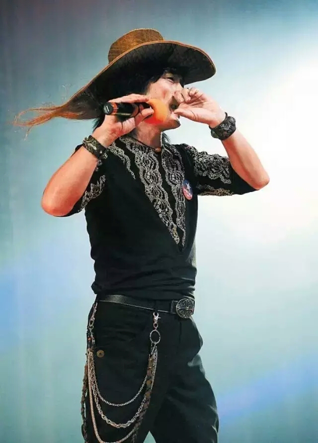 指哨最新，自然美景之旅，探尋內(nèi)心平靜與喜悅的旅程