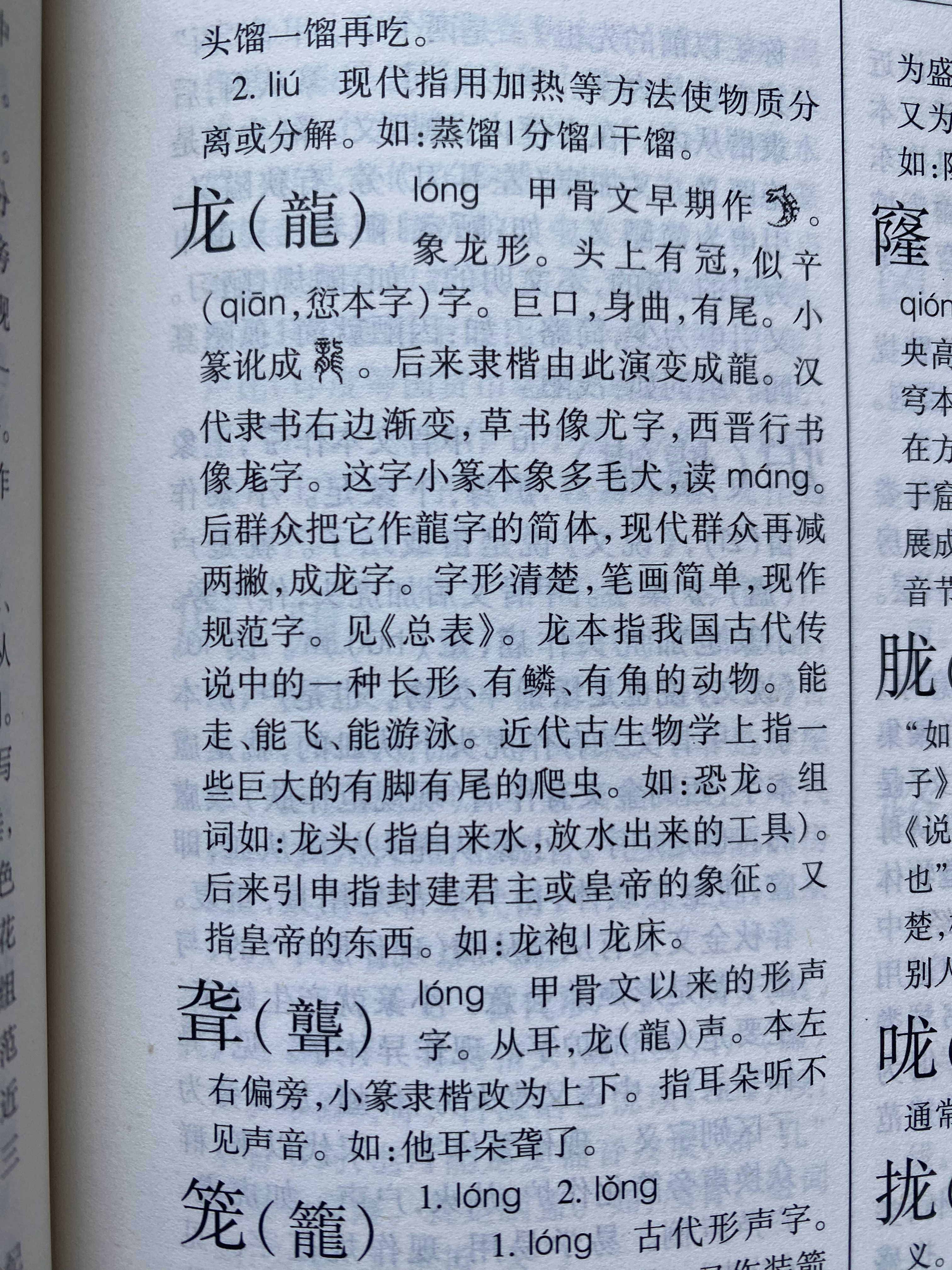 龍組詞最新，探索神秘詞匯世界，領略龍的魅力詞匯